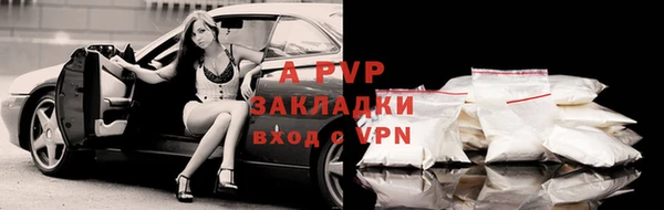соль ск Алексин