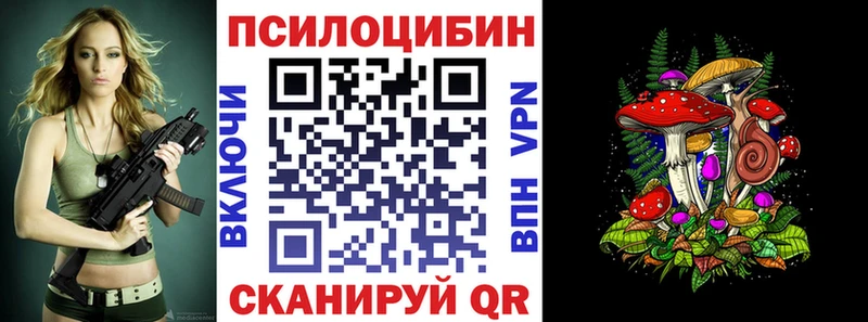 Галлюциногенные грибы Psilocybe  МЕГА ONION  Куртамыш 